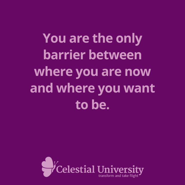 You are the only barrier between where you are now and where you want to be. - Jill Celeste