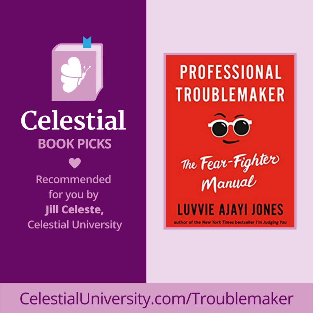 Book Review: Professional Troublemaker by Luvvie Ajayi Jones